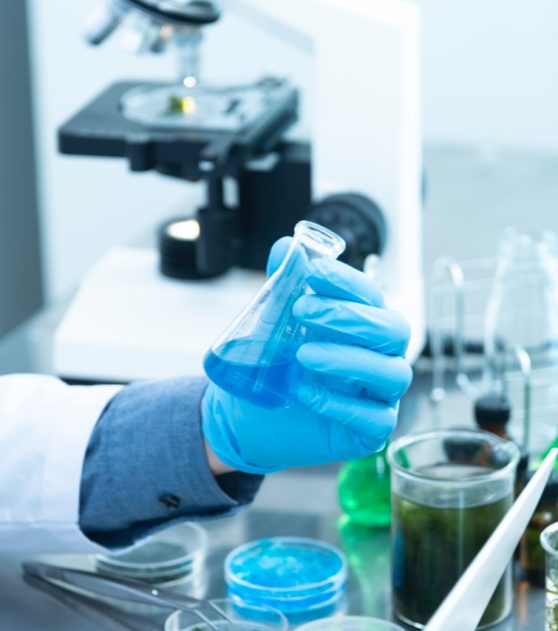 pexels-chokniti-khongchum-2280571 (1)